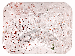 ACTAB00119