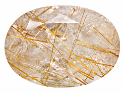WT1V001137