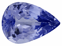 TZP223