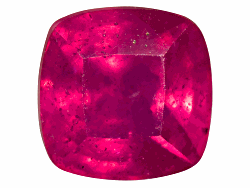 ACTBG23778