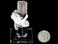 Impressive, Well-formed Trigonal Bi-color Tourmaline Crystal With Albite Mineral Specimen On Stand
