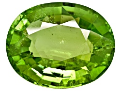 XTG2571