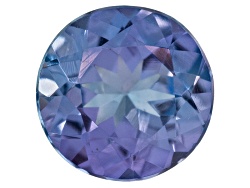 NTR095