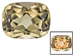 DZC004