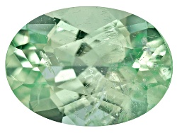 PBV366